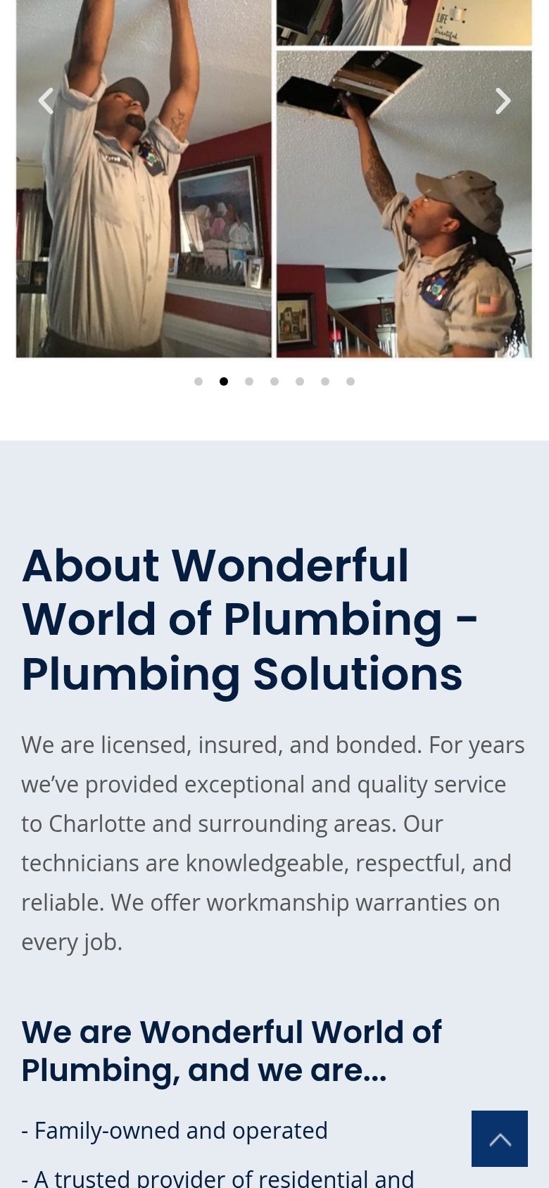 Wonderful World of Plumbing on mobile