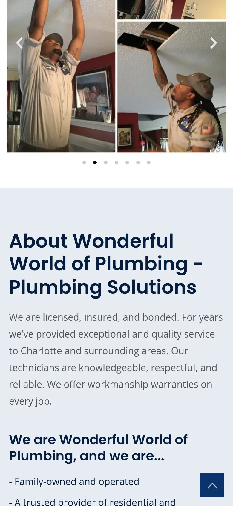 Wonderful World of Plumbing on mobile