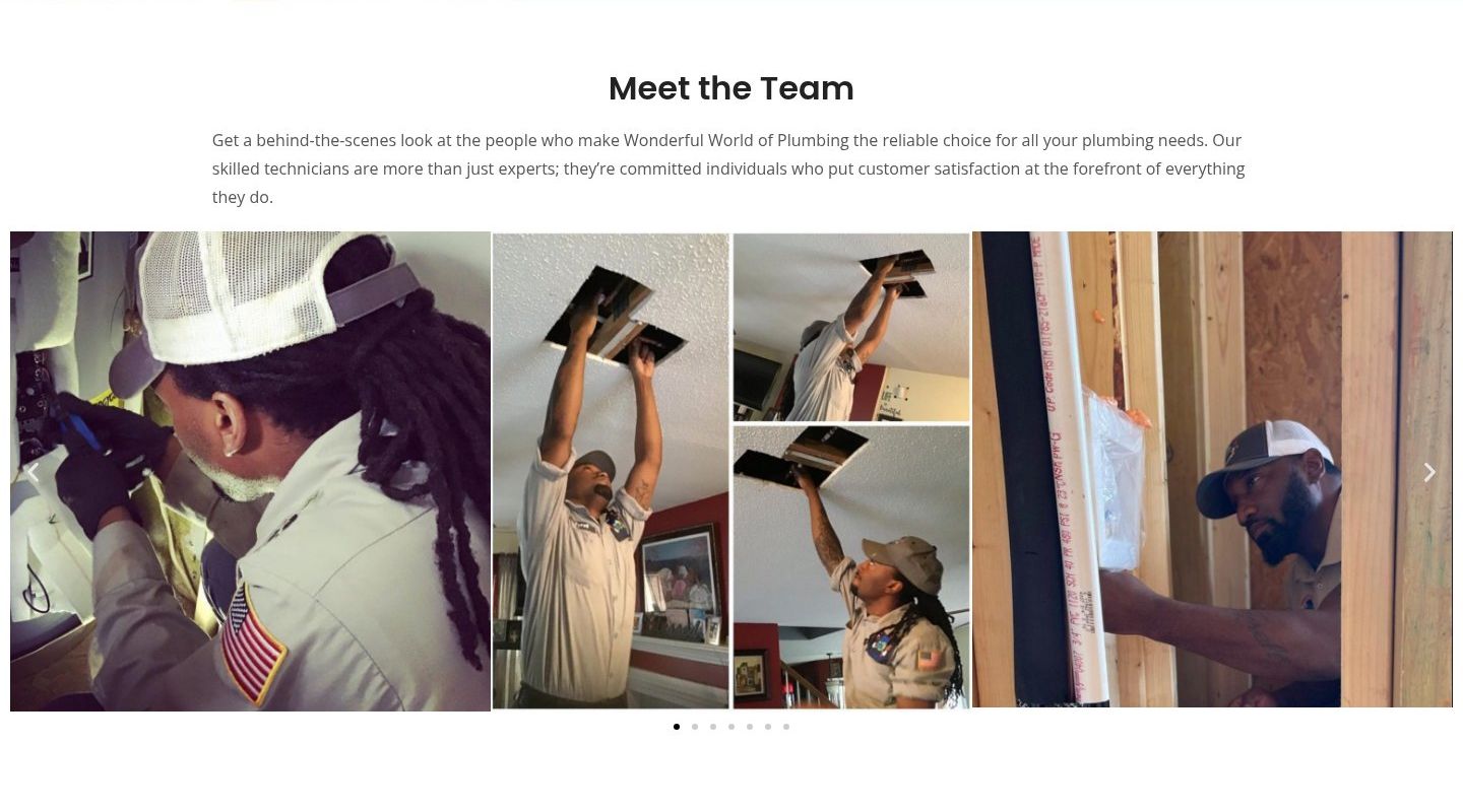 Meet the Team section