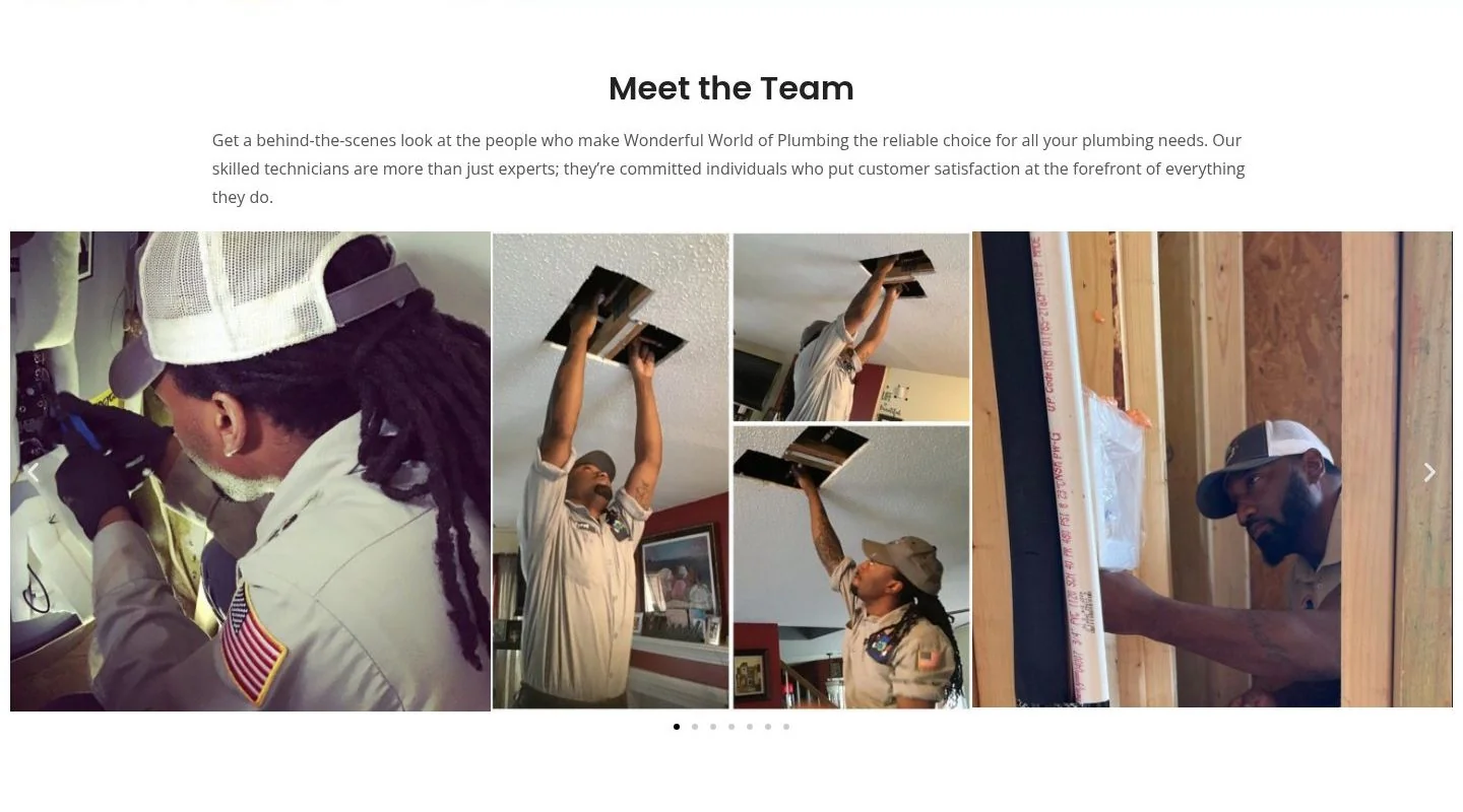 Meet the Team section